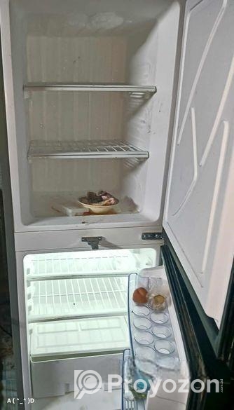 ফ্রেশ কন্ডিশন ব্যবহৃত ফ্রিজ ১০ বছরের গ্যারান্টি সহ বিক্রি হবে।