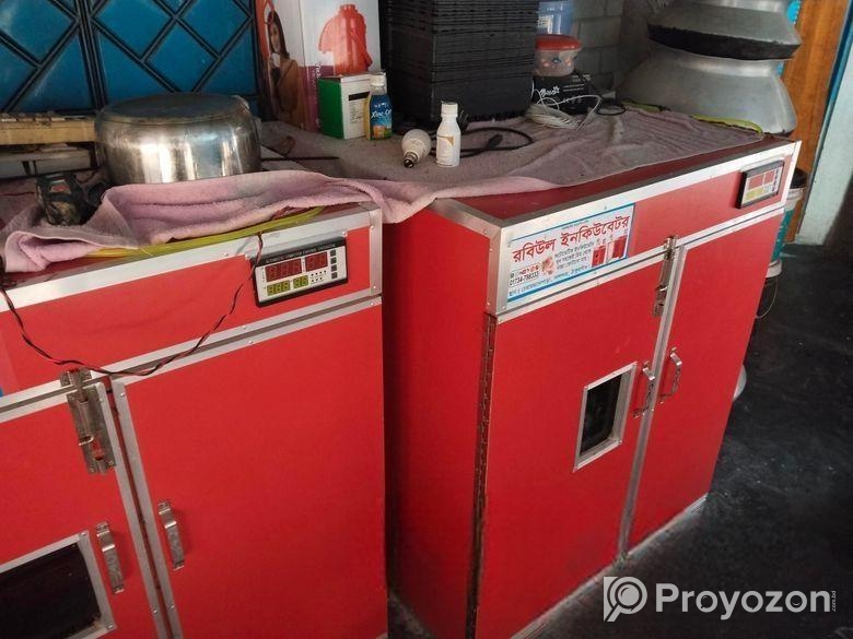 ইনকিউবেটর