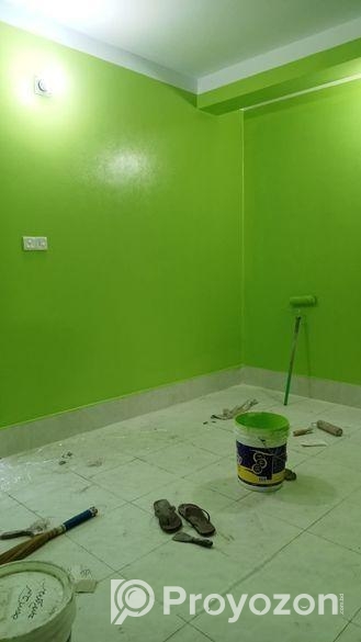 রংয়ের কাজ