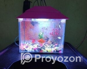 fitted-20_2025-11-29_17-51-50