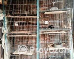 fitted-21_2025-11-10_17-26-18