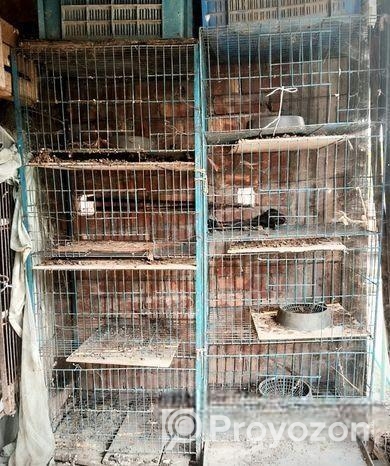 পাখির খাঁচা