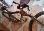 Bicycle for sell