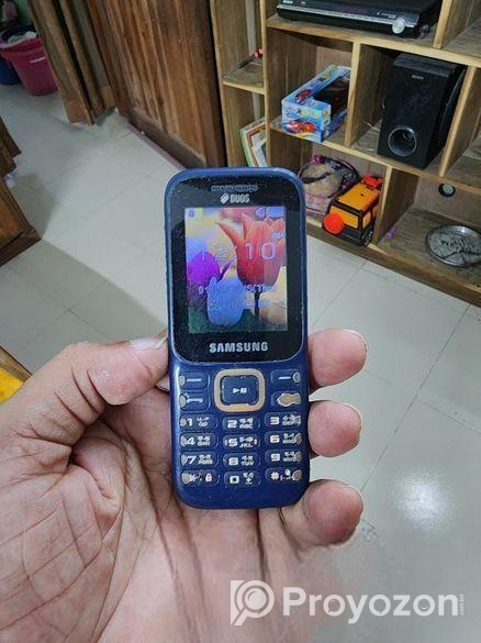 Samsung Guru Music 2 .