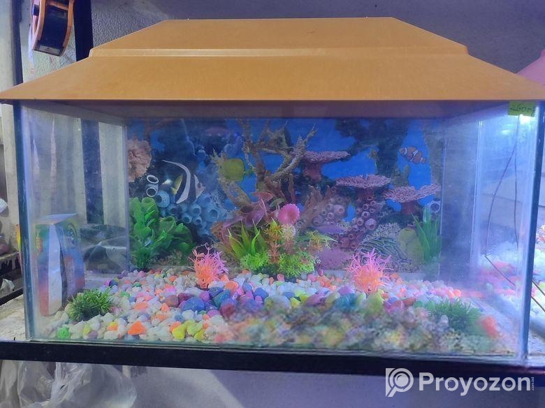 এ্যাকুরিয়াম Package