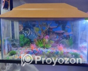 fitted-25_2025-11-06_10-16-07