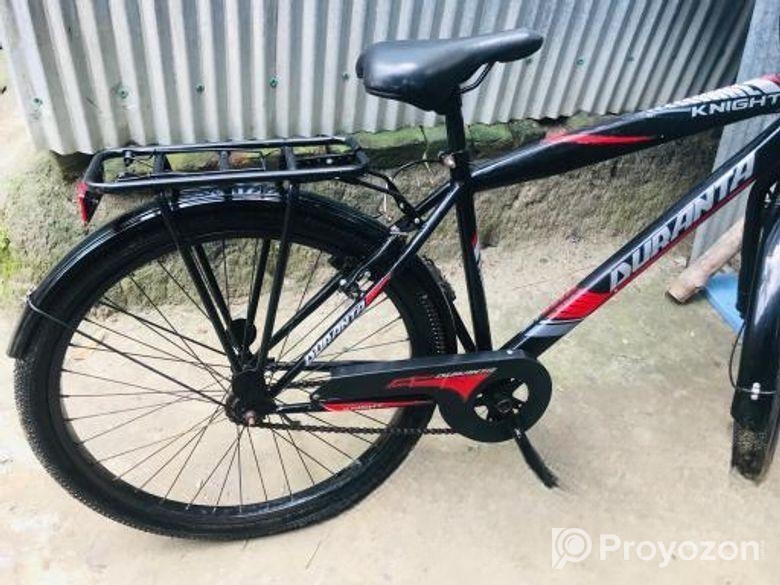 দুরন্ত বাইসাইকেল