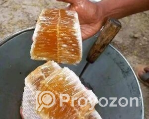 fitted-27_2025-11-05_23-56-59