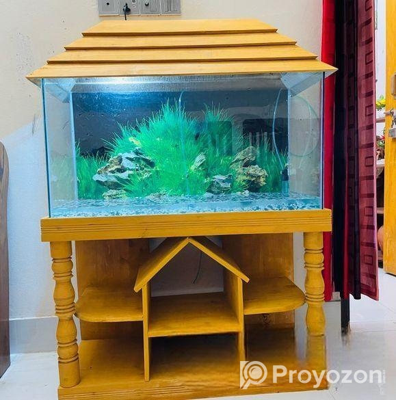 3 Feet Aquarium