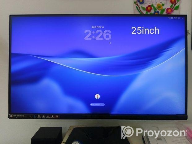 Msi Pro Mp251 “25 Inch Monitor