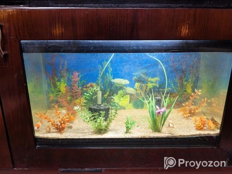 একুরিয়াম সেট
