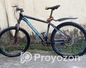 fitted-30_2025-11-24_10-38-33