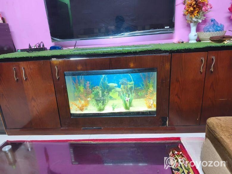 একুরিয়াম সেট