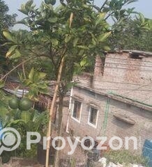 fitted-32_2025-11-03_18-41-45