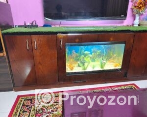 fitted-32_2025-11-04_10-10-38