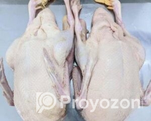 fitted-32_2025-11-23_10-20-57