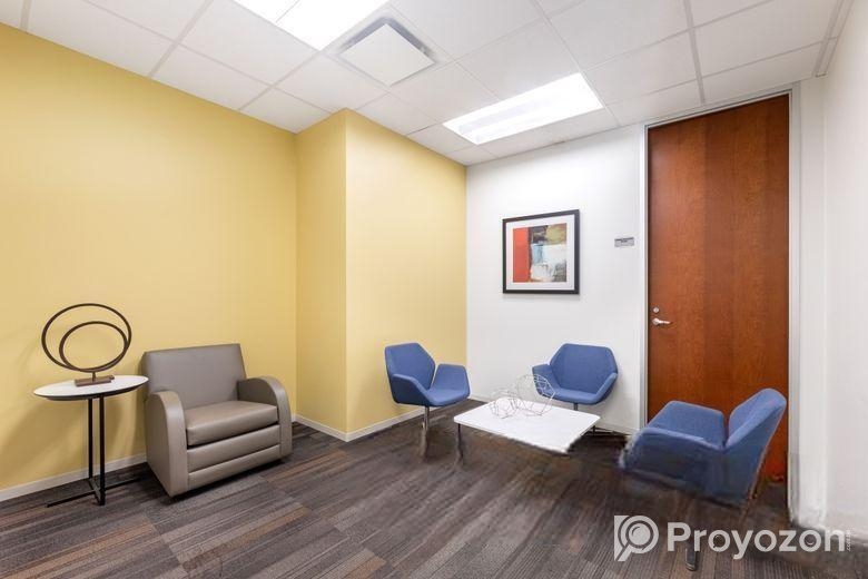 All-access to professional office for 5 in Regus Rahim Plaza De C