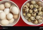 মুরগী / কোয়েল পাখির ডিম