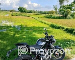 fitted-34_2025-11-15_10-19-34