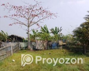 fitted-36_2025-11-10_17-22-28