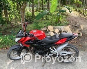 fitted-37_2025-11-02_10-27-29