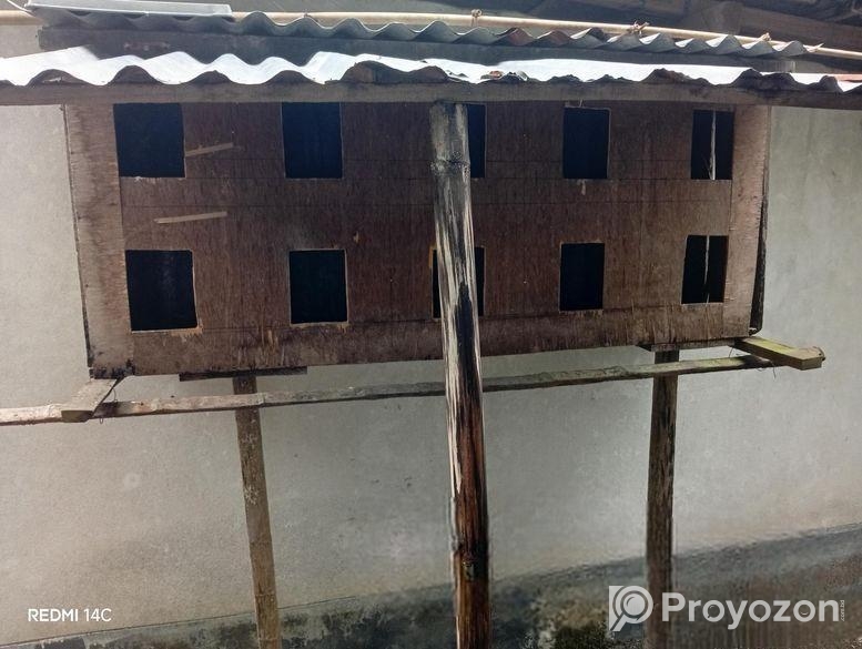 সুন্দর ও মজবুত কবুতর-বাসা – ব্যবহার করা হয়েছে, ভাল অবস্থা