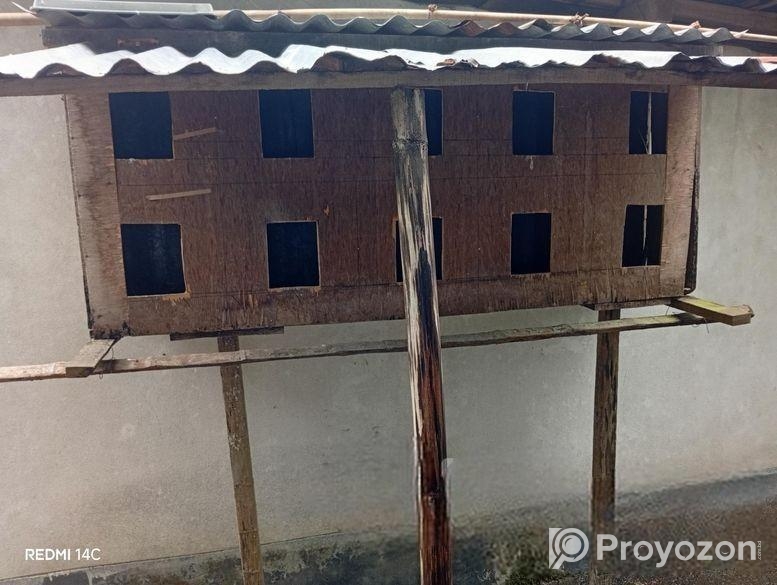 সুন্দর ও মজবুত কবুতর-বাসা – ব্যবহার করা হয়েছে, ভাল অবস্থা