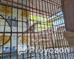 fitted-38_2025-11-15_12-28-21