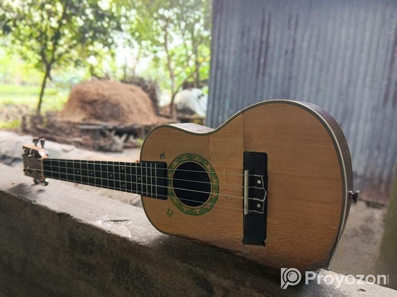 ইউকেলেলে বাদ্যযন্ত্র