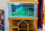 3 Feet Aquarium