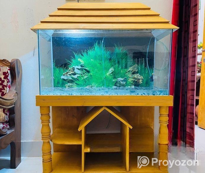 3 Feet Aquarium