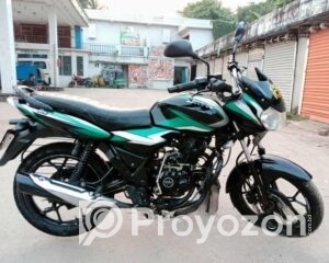 fitted-3_2025-11-12_17-16-45