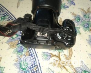 fitted-40_2025-11-02_11-33-47