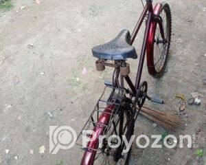 fitted-40_2025-11-09_11-29-56