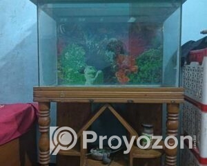 fitted-40_2025-11-10_21-13-25