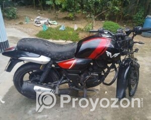 fitted-43_2025-11-06_11-34-34