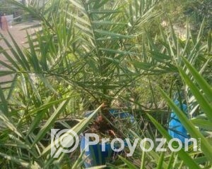 fitted-43_2025-11-15_12-37-21