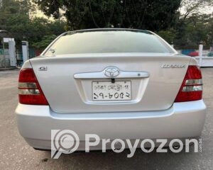 fitted-43_2025-11-27_10-07-57