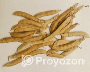 fitted-45_2025-11-15_12-47-27