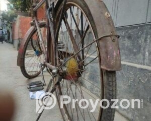 fitted-47_2025-11-19_11-15-44