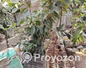 fitted-48_2025-11-15_12-50-45