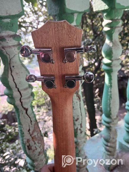 SAS ukulele