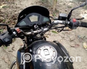 fitted-4_2025-11-03_17-42-23