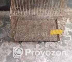 fitted-4_2025-11-11_09-24-09