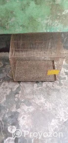 পাখির খাচা