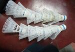 12 পিস Shuttlecock এবং একটি নেট বিক্রি হবে