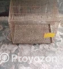 fitted-50_2025-11-12_10-33-02