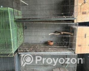 fitted-53_2025-11-09_16-12-58