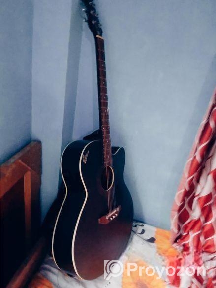 (Signature Guitar) বিক্রি হবে!