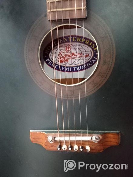 (Signature Guitar) বিক্রি হবে!